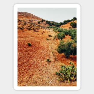 Moroccan Landscape Sticker